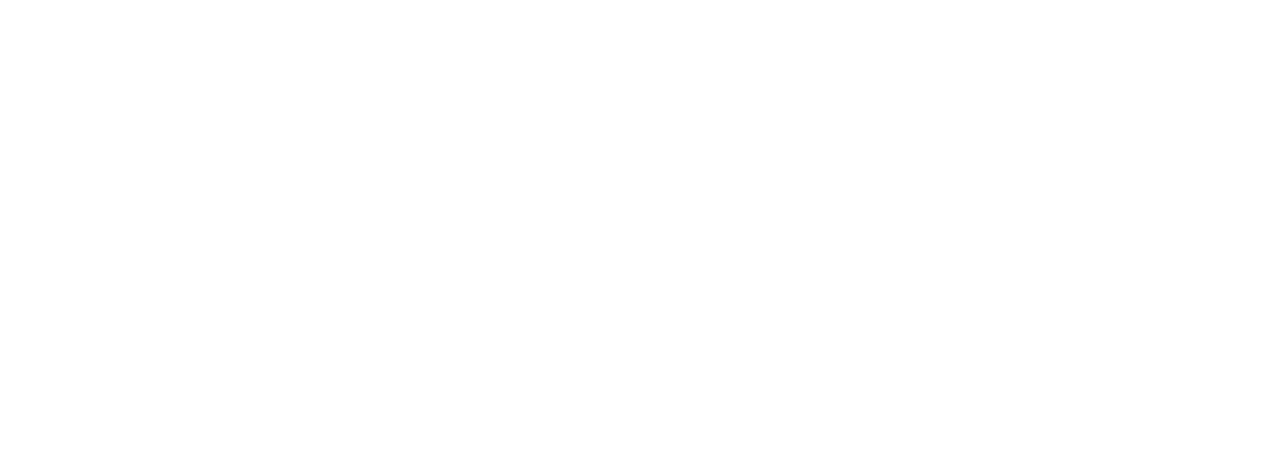 Dominion Investor 2