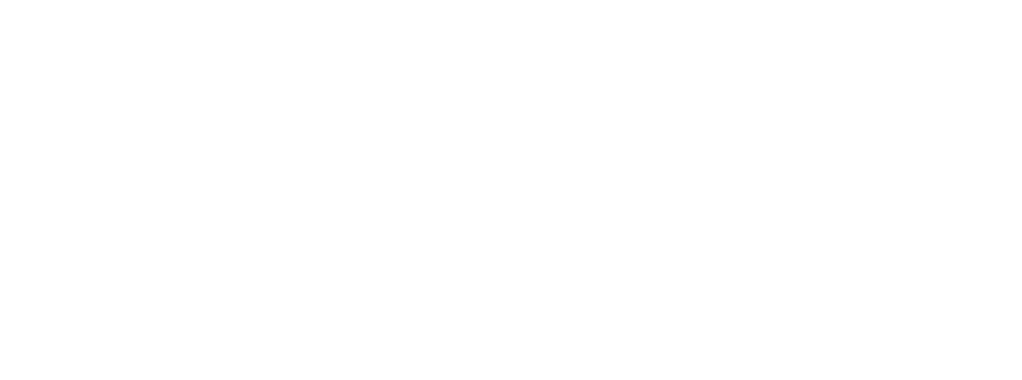 Dominion Investor 6